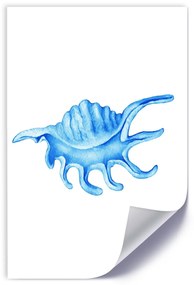 Gario Plagát Tropická mušľa Farba rámu: Bez rámu, Veľkosť: 20 x 30 cm