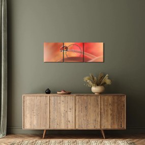 Obraz kvetinové kvapky rosy (s hodinami) (90x30 cm)