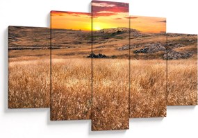 Obraz pole (150x105 cm)