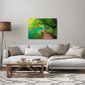Obraz - Plitvické jazerá (70x50 cm)