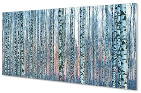 Sklenený obraz Brezového lesa pri západe slnka 120x60 cm