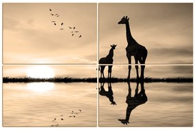 Obraz na plátne - Žirafy silueta 1919FD (90x60 cm)