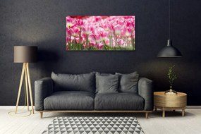 Obraz plexi Tulipány kvety príroda 100x50 cm