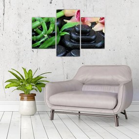Obraz - Kamene a orchidey (90x60 cm)