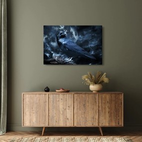 Obraz - Havran (90x60 cm)