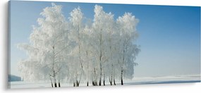 Obraz zasneženej krajiny (120x50 cm)