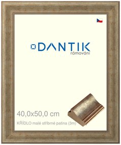 DANTIK rám na obraz 40x50 | KŘÍDLO malé stříbrné patina (Plexi Čiré)