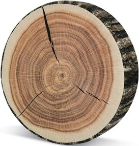 Bellatex Sedák Oreste Drevo, 38 cm