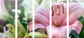 5-dielny obraz ľalia dlhokvetá