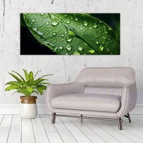 Obraz - List po daždi (120x50 cm)