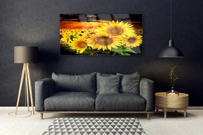 Obraz plexi Slnečnica kvet rastlina 120x60 cm