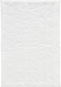 XXXLutz LETNÁ PRIKRÝVKA, 135/200 cm, polyester Centa-Star - Prikrývky & vankúše - 003503022301