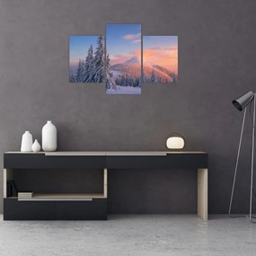 Obraz - Zimná krajina (90x60 cm)