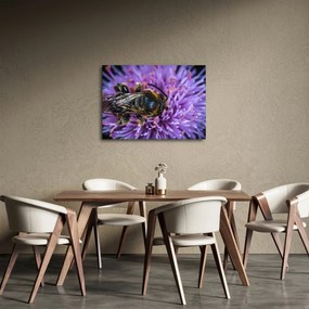 Obraz včely na kvetine (70x50 cm)