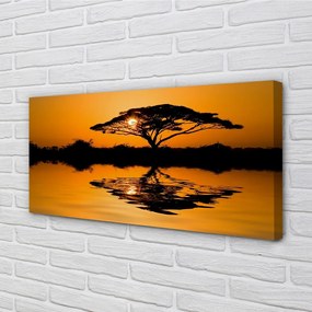 Obraz canvas Sunset tree 125x50 cm