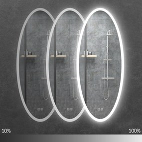 Nástěnné oválné zrcadlo s LED osvětlením DROP 50x120 cm