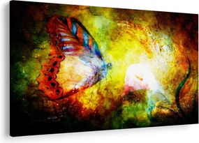 Obraz - Kozmický motýľ (90x60 cm)