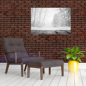 Obraz - Drevené mólo v zime (90x60 cm)
