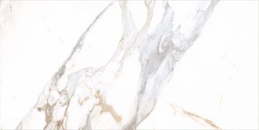 Dlažba Medici Gold Natural 60x120 R