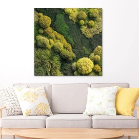 DUBLEZ | Machový obraz - Zelená oáza (imitácia)