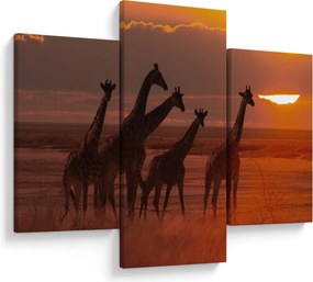 Obraz - Žirafy v africkej savane (90x60 cm)