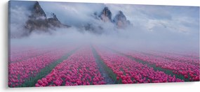 Obraz - Krajina s tulipánovými poľami (120x50 cm)
