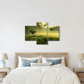 Obraz - Prebúdzajúci sa les (90x60 cm)