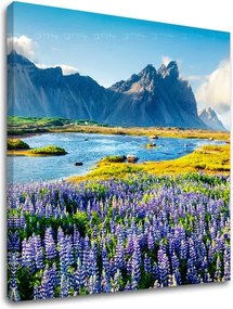 Obraz na stenu LÚKA_047-12