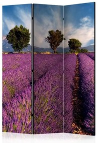 Paraván - Lavender field in Provence, France [Room Dividers]