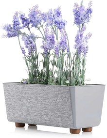 PLASTOVÝ KVETINÁČ SALVIA TX 28,5X17 CM SIVÁ