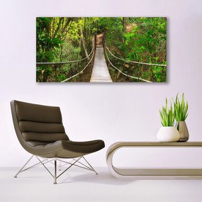 Obraz plexi Most džungľa tropický les 120x60 cm