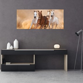 Obraz - Stádo koní (120x50 cm)