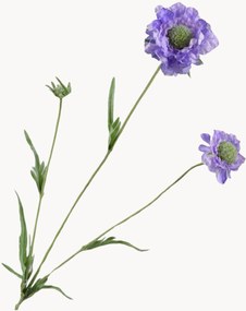Rastlinné dekorácie Scabiosa, 2 ks
