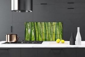 Sklenený obklad Do kuchyne Bambusový les bambusové výhonky 120x60 cm