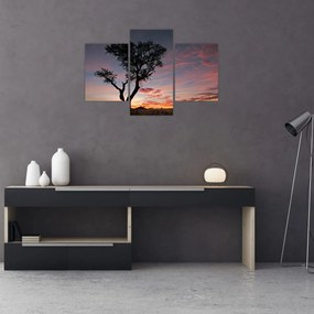 Obraz - Strom a červánky (90x60 cm)