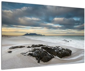 Obraz - Robben Island (90x60 cm)