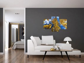 Obraz - Aspen (90x60 cm)