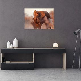 Sklenený obraz - Veľký slon africký (70x50 cm)