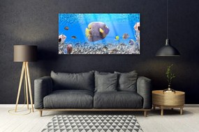 Obraz na akrylátovom skle Ryba príroda 120x60 cm