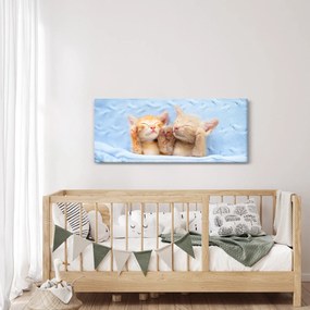 Obraz - Spiace mačiatka (120x50 cm)