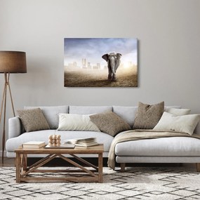 Obraz - Sloníčka vo veľkomeste (90x60 cm)