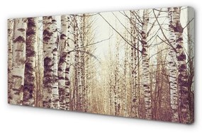 Obraz canvas stromy 125x50 cm