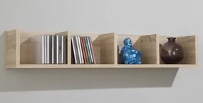 Polica Point, dub sonoma%