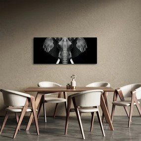 Obraz - Slon na čiernom pozadí (120x50 cm)
