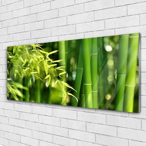 Obraz plexi Bambus listy rastlina 125x50 cm