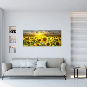 Obraz - Slnečnica pri západe slnka (120x50 cm)