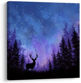 Obraz zimné kúzlo nočnej oblohy v siluetách