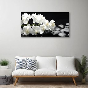 Obraz na plátne Kvet kamene rastlina 140x70 cm