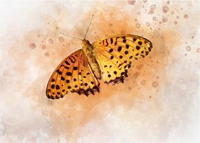 Sklenený obraz - Oranžový motýľ, aquarel (70x50 cm)