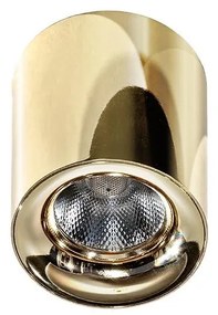 Azzardo AZ2846 - LED Stropné svietidlo MANE 1xLED/10W/230V AZ2846